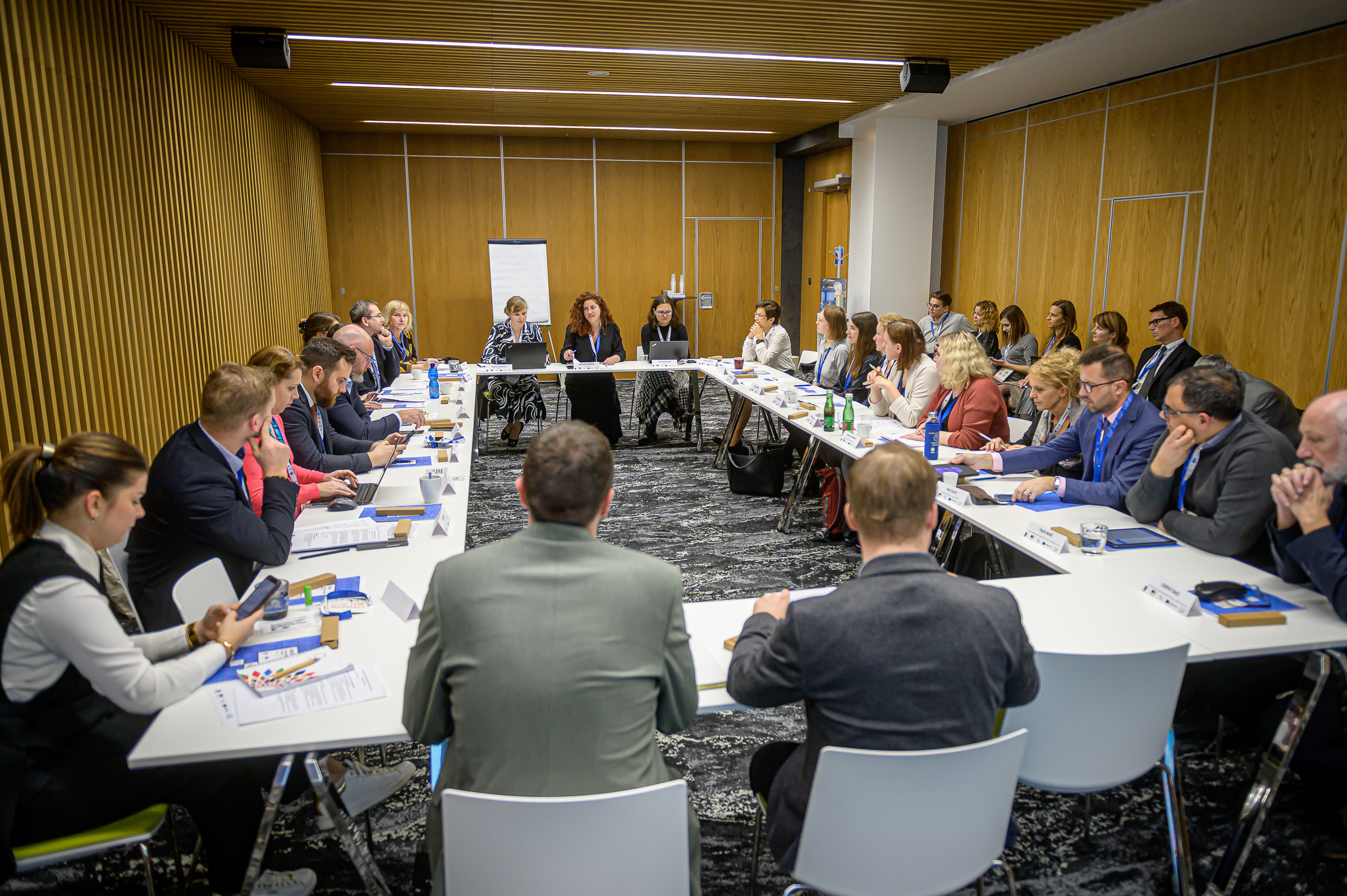 Kulatý stůl se zástupci univerzit, DZS, MŠMT a NAÚ. Foto: Petr Zewlakk Vrabec