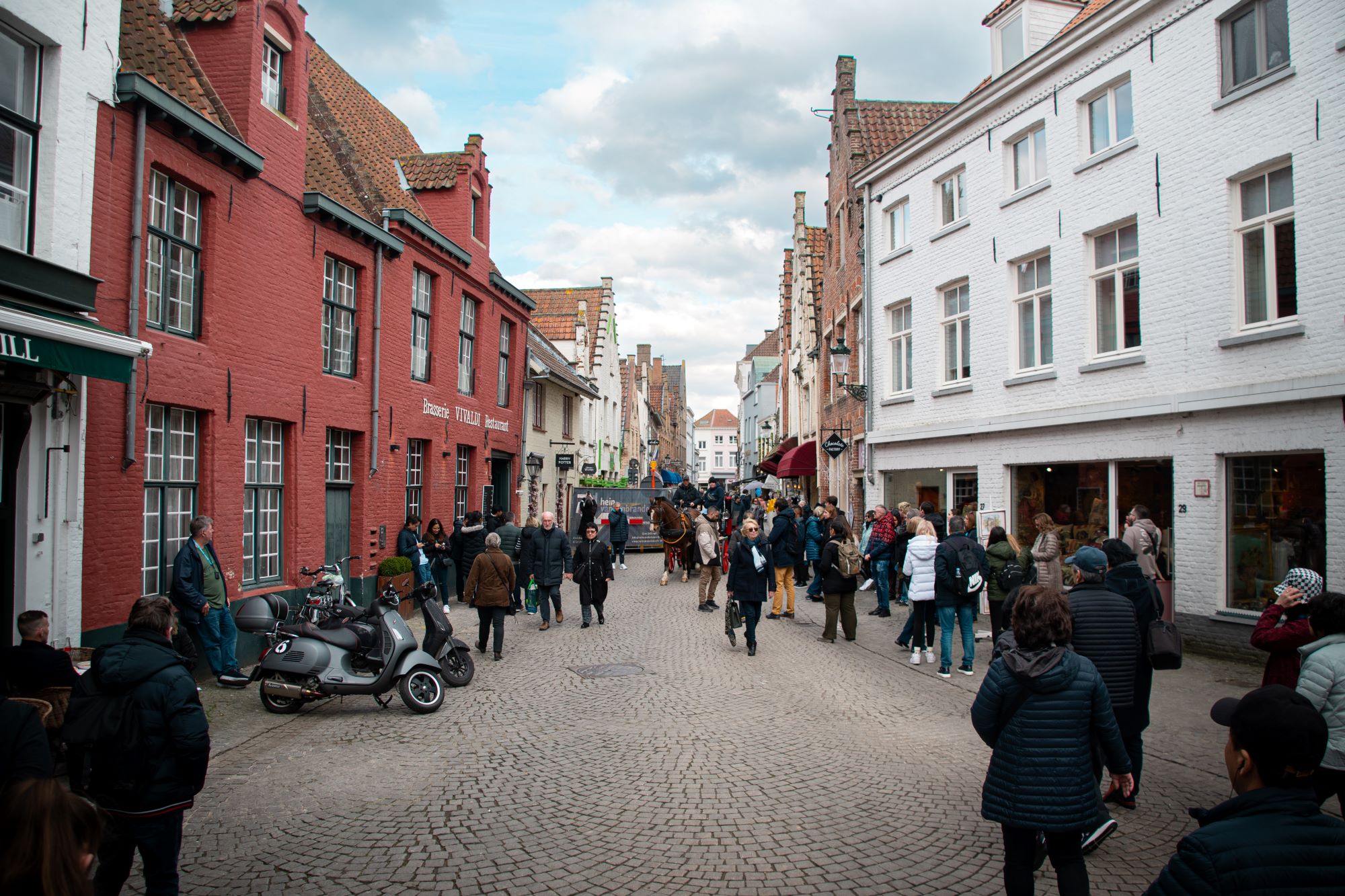 Na Erasmu v Českém centru