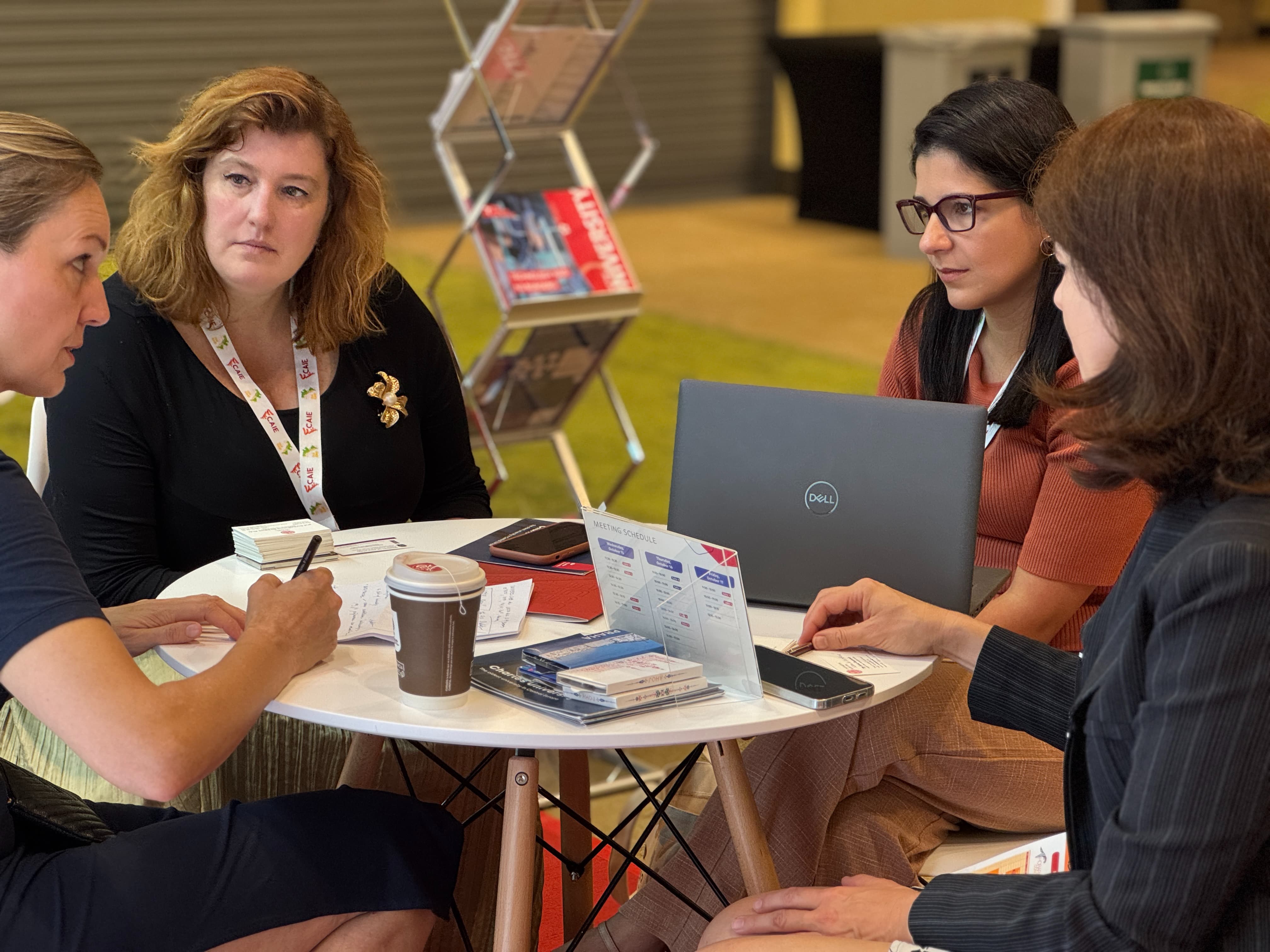 Česko na konferenci CAIE 2025