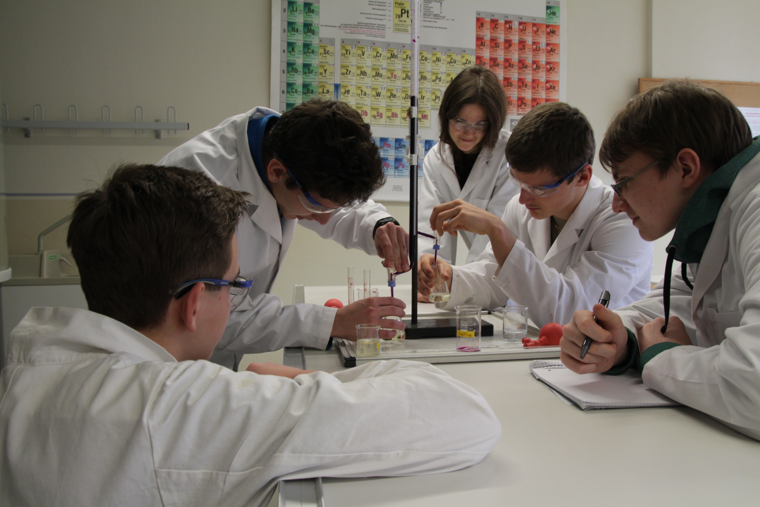 Gymnáziu Friedricha Schillera v Pirně