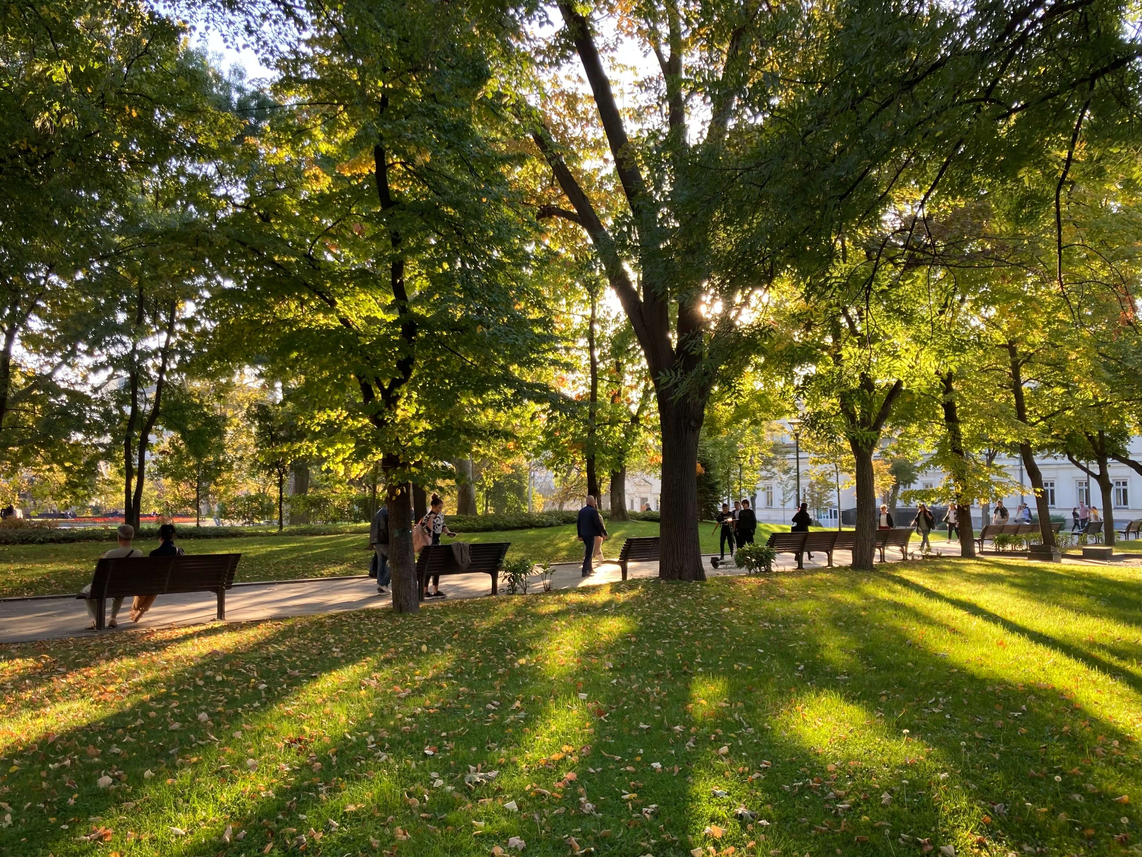 na erasmu v českém centru