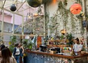 na erasmu v českém centru