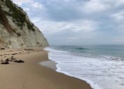 na erasmu v českém centru