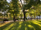 na erasmu v českém centru