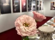 Foto z výstavy Nos na stůl v ČC Tokio. Foto: Petra Paličková