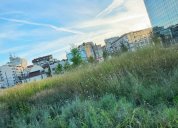 Foto: Bohuslav Růžička