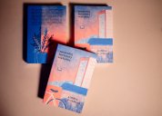 Kniha Zpravodaj berlínský stážistky