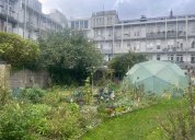 Komunitní zahrady, kompost i popínavky: Bieno si z programu Erasmus+ přivezlo inspiraci z Amsterdamu