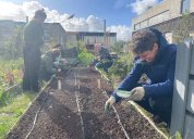 Komunitní zahrady, kompost i popínavky: Bieno si z programu Erasmus+ přivezlo inspiraci z Amsterdamu