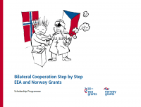 Bilateral Cooperation Step by Step, EEA and Norway Grants (cover page)