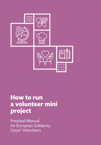 How to run a volunteer mini project