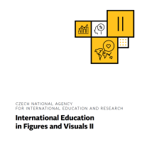 International Education in Figures and Visuals